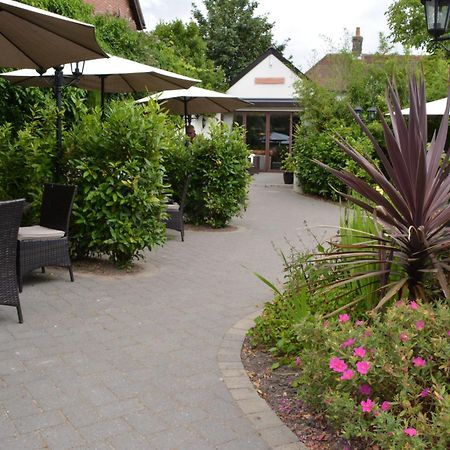 Greyhound Inn Winterborne Kingston Exterior foto