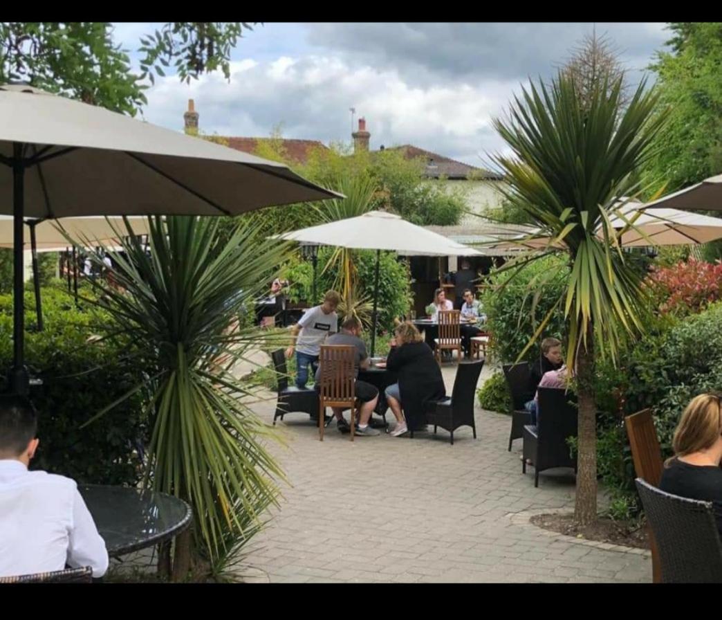Greyhound Inn Winterborne Kingston Exterior foto